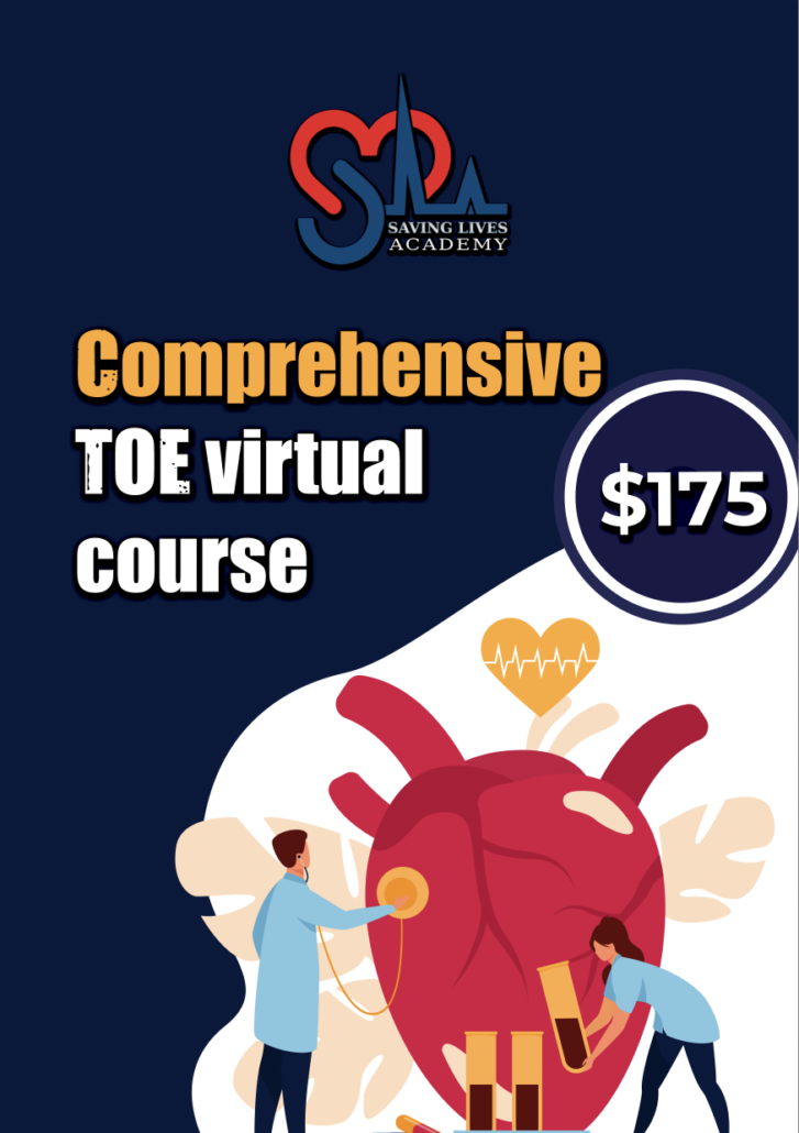 Comprehensive TOE virtuall course