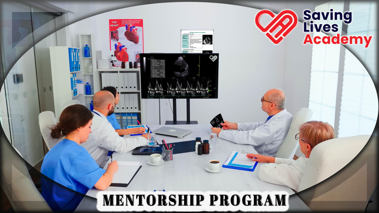 Mentorship program