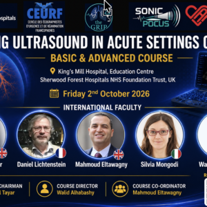 Lung Ultrasound in Acute settings course