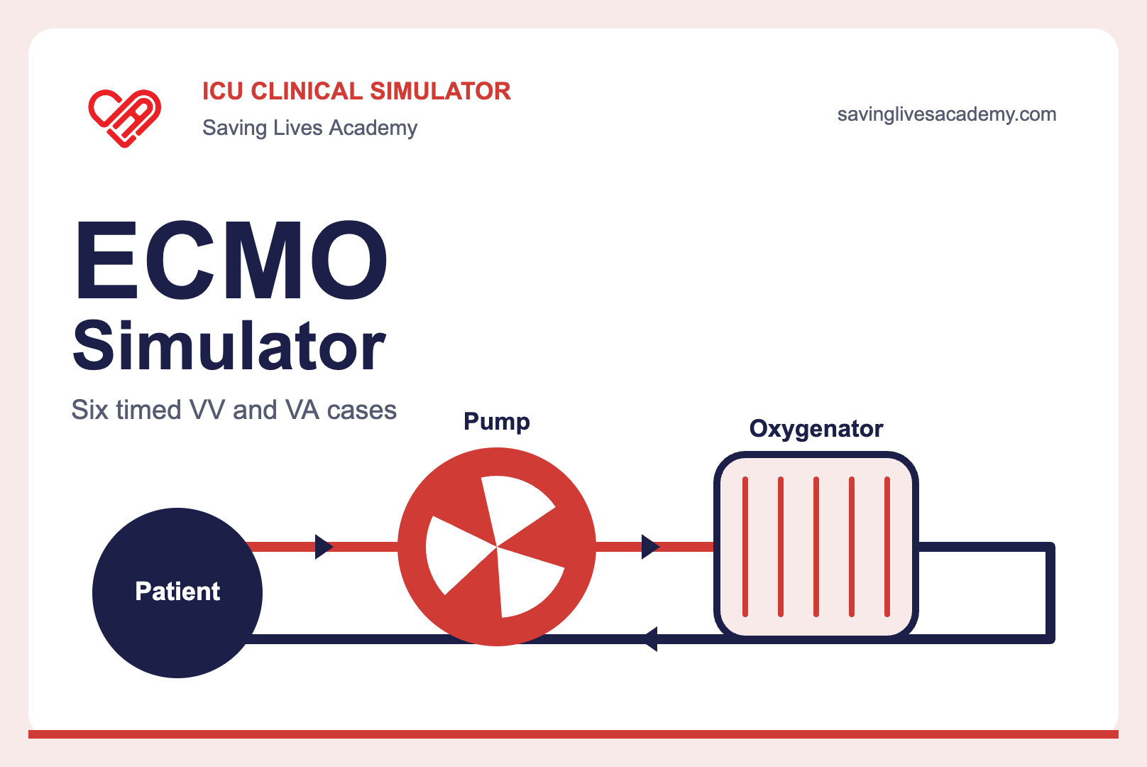 ECMO simulator: patient, pump and oxygenator circuit, Saving Lives Academy